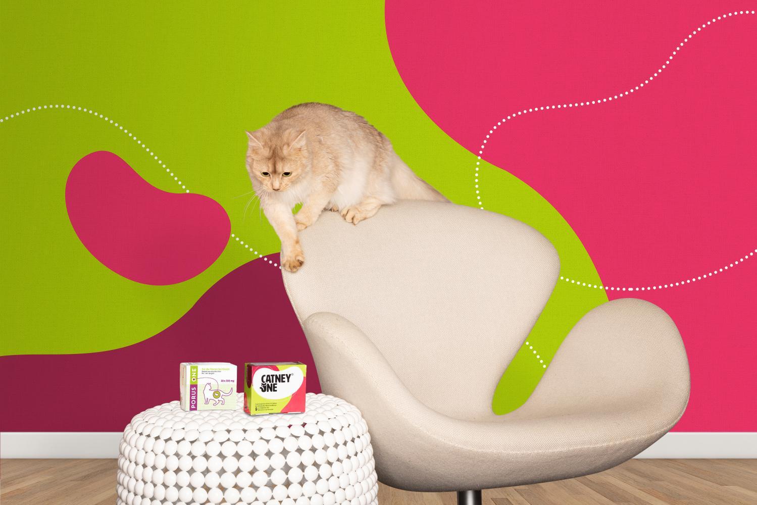 Cats eating food containing Porus One supplement